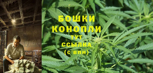 дурь Гусиноозёрск