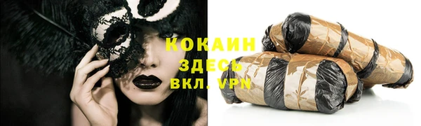 дурь Гусиноозёрск