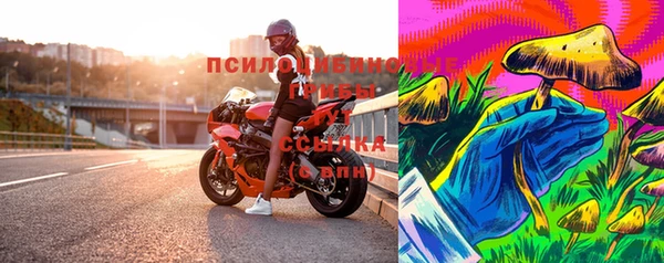 дурь Гусиноозёрск