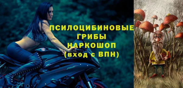 Альфа ПВП Гусев