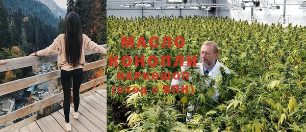 Альфа ПВП Гусев