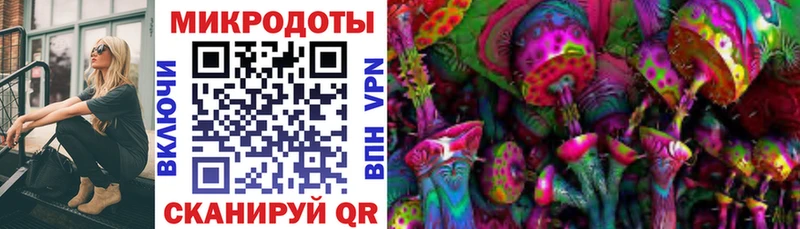 что такое   Орёл  Галлюциногенные грибы мухоморы 